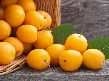 خرید و قیمت آلو زرد مجلسی + فروش عمده